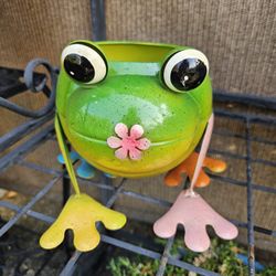 Frog Planter 