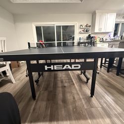 Ping Pong Table