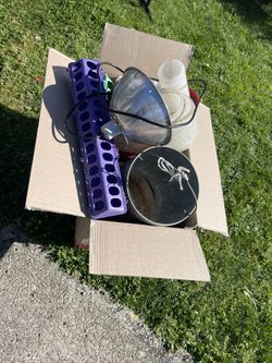 Chicken Supply