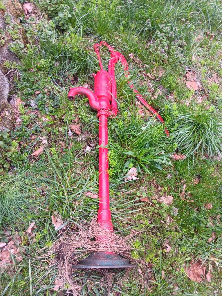 Vintage Well Pump