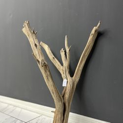 Natural Manzanita Wood: Aquarium, Terrarium, Vivarium, Driftwood, Home Decor