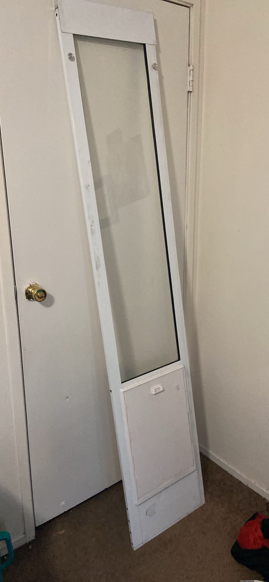 Doggy Door