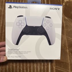 NEW PS5 Controller
