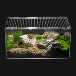 Clear Acrylic Reptile/Tarantula Enclosure with Ventilated Lid