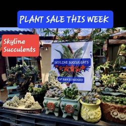 PLANT SALE TODAY SUNDAY IN SAN LORENZO STARTS AT 1PM