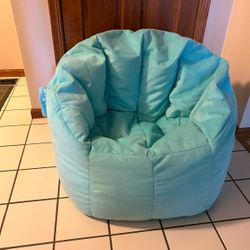 Big Joe Bean Bag Chair