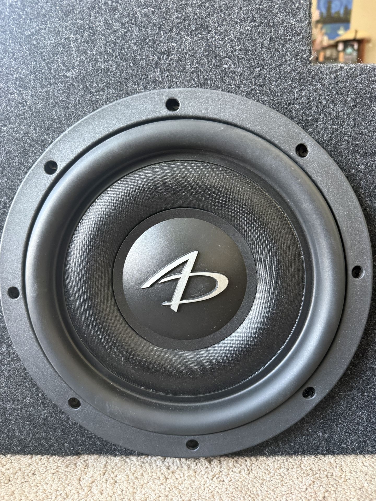 2 10inch Audio Dynamic Subs For Trucks