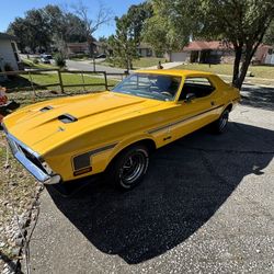 1972 Mustang 302 V8 - Restore