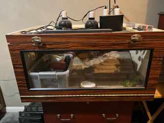 Reptile cage with all accessories
