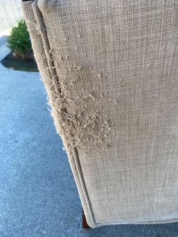 Free Dining Chairs