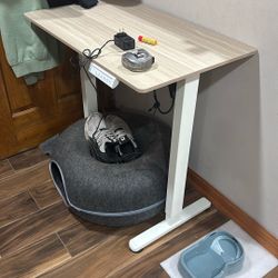 Electric Lifting And Lowering Computer Desk