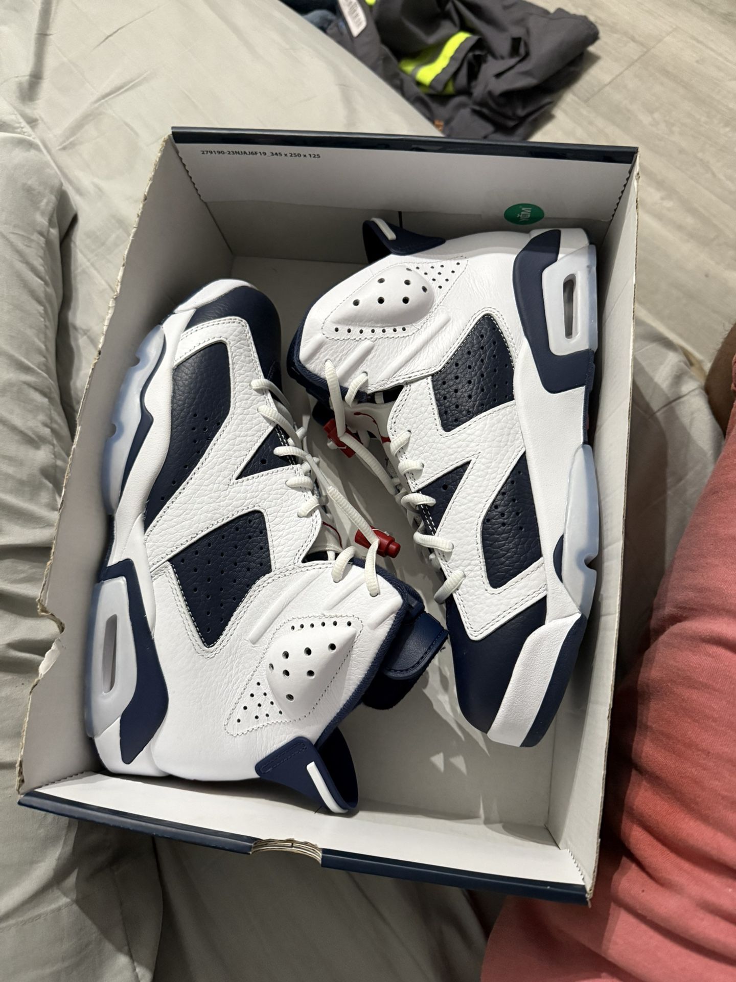 Jordan 6s