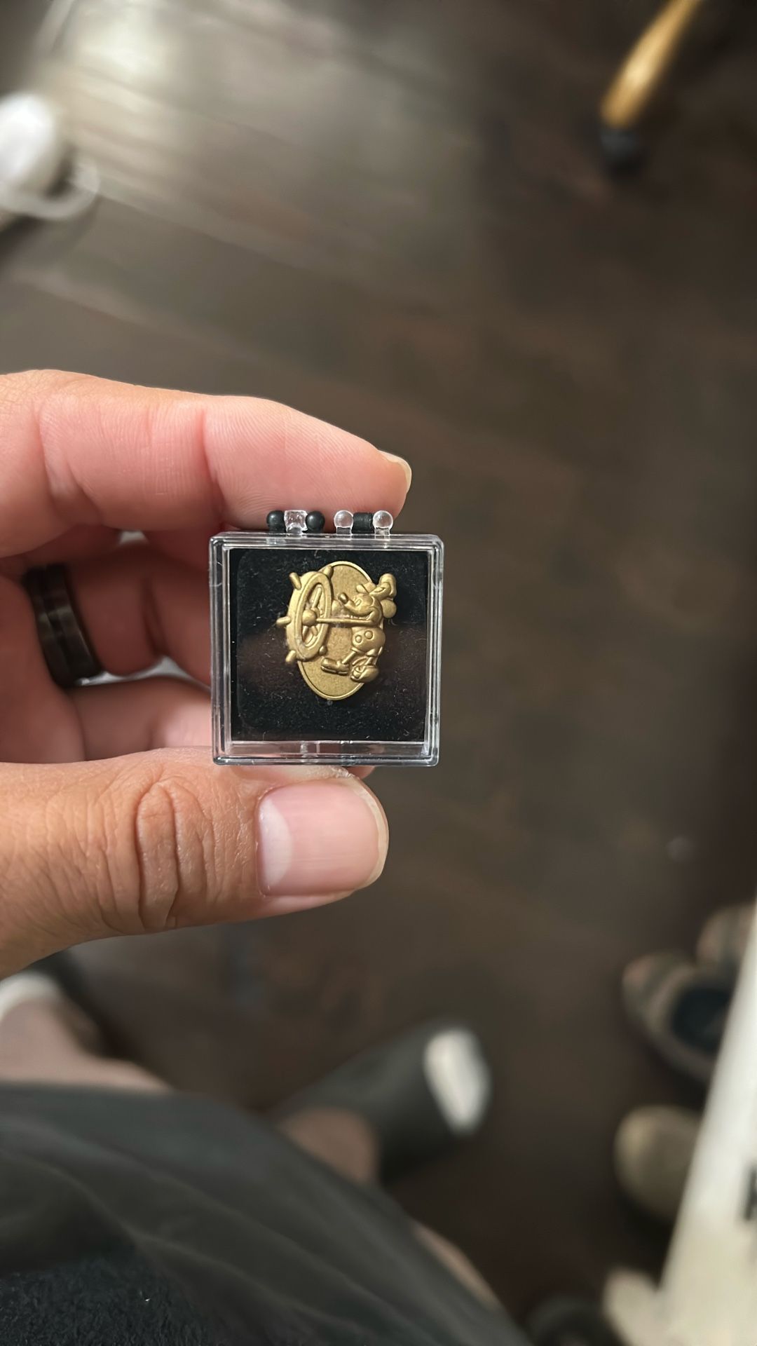 Disney pin