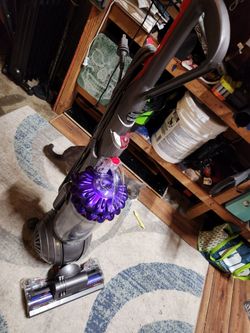 Dyson animal+vacuum