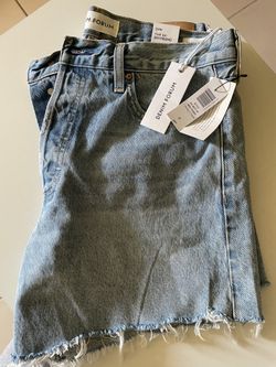Aritzia Vintage Shorts
