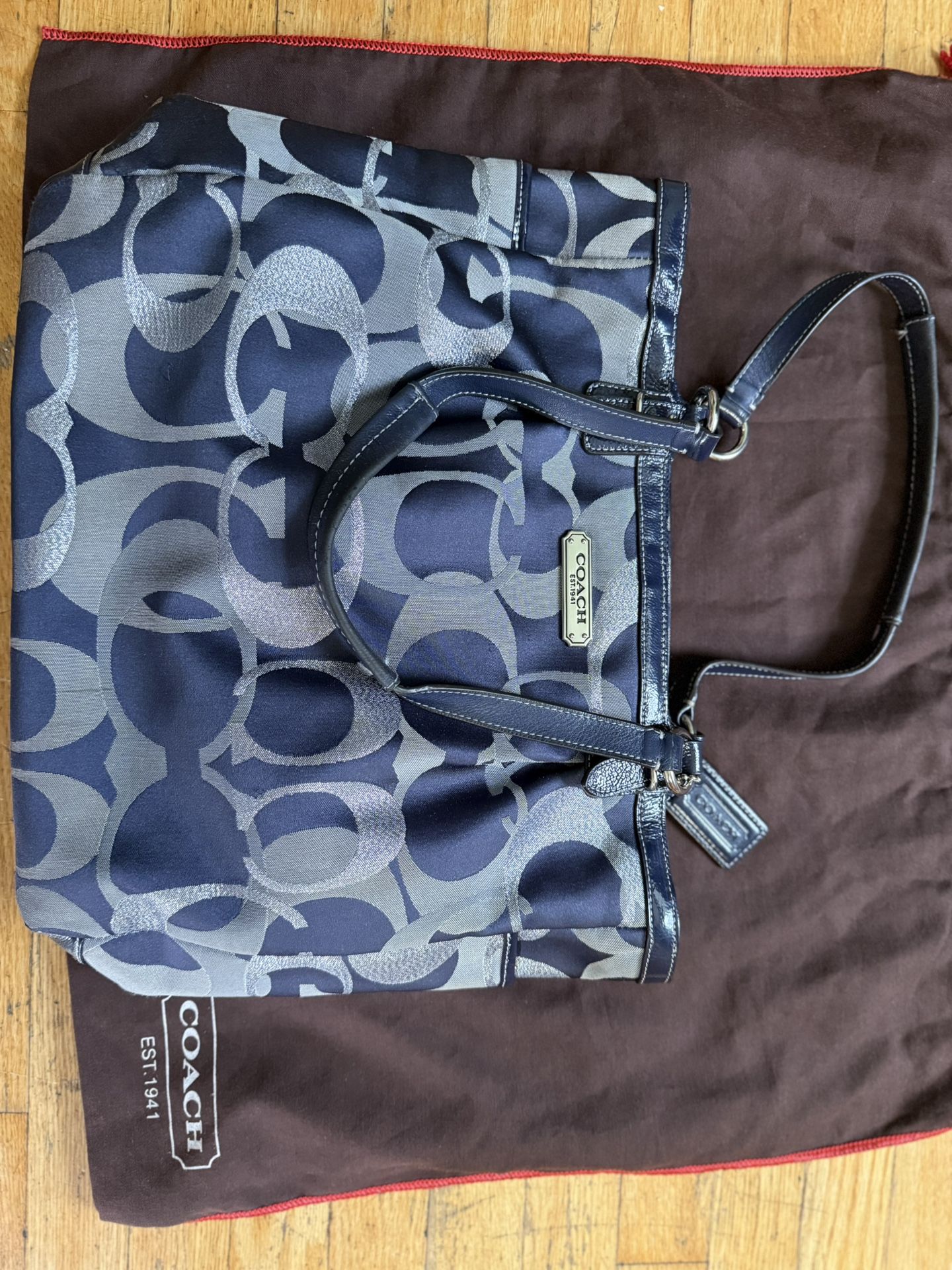 Authentic Coach Bag With Protective Bag