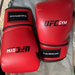  16 oz Boxing Gloves 