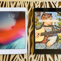 2 iPad Mini 2’s 16 GB - Great Working Condition 
