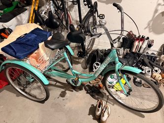 Adult Tricycle Mooncool