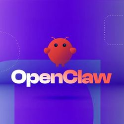 OpenClaw Install 