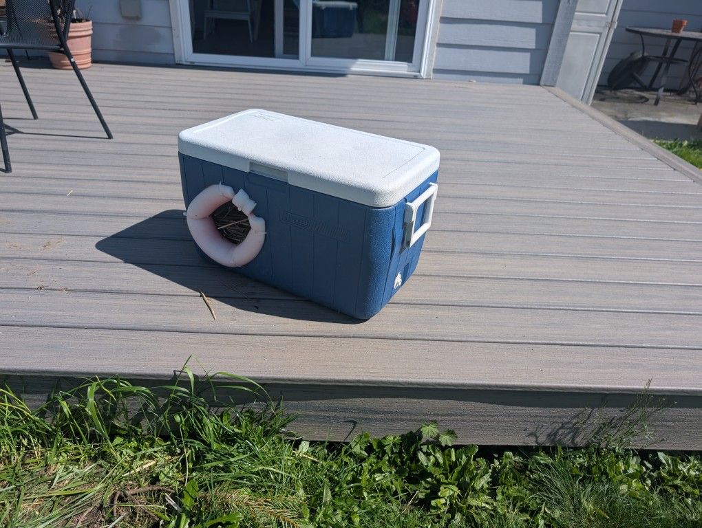 Free Cat Shelter