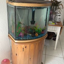 Fish Tank And Stand