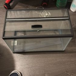 Fish Tank 