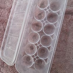 Egg Tray 