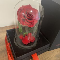 Valentine Gifts (dog And Rose)