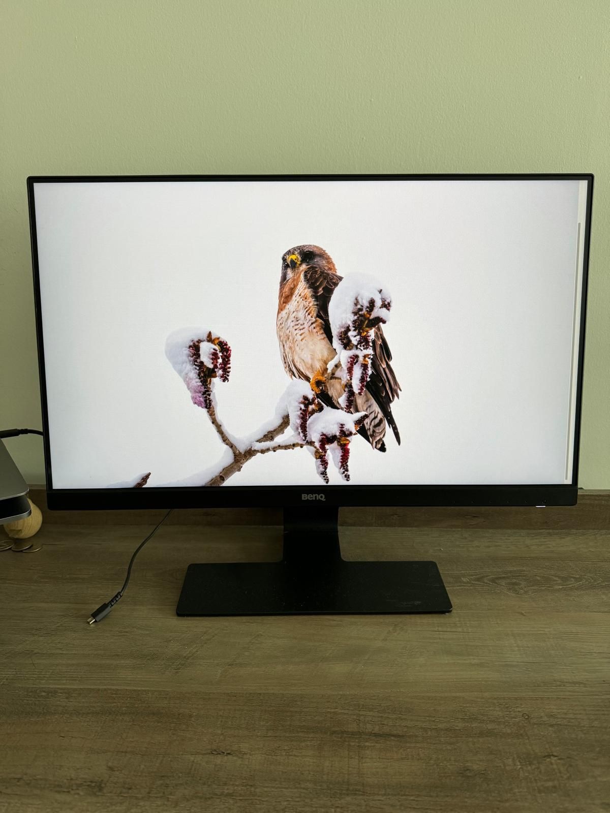 BenQ GW2480 Computer Monitor 24" FHD 1920x1080p