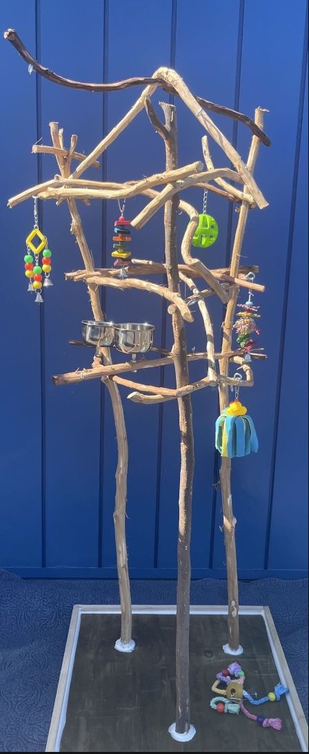 Small Bird Perch Tree… Looks Great And Instant Love From Mr Feathers ! ❤️