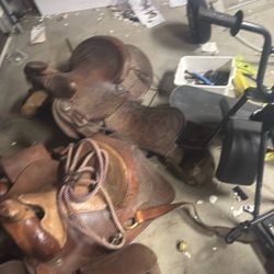 Horse Saddles 