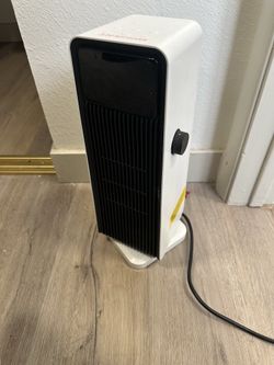 Fan with heater