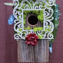 Bird House 