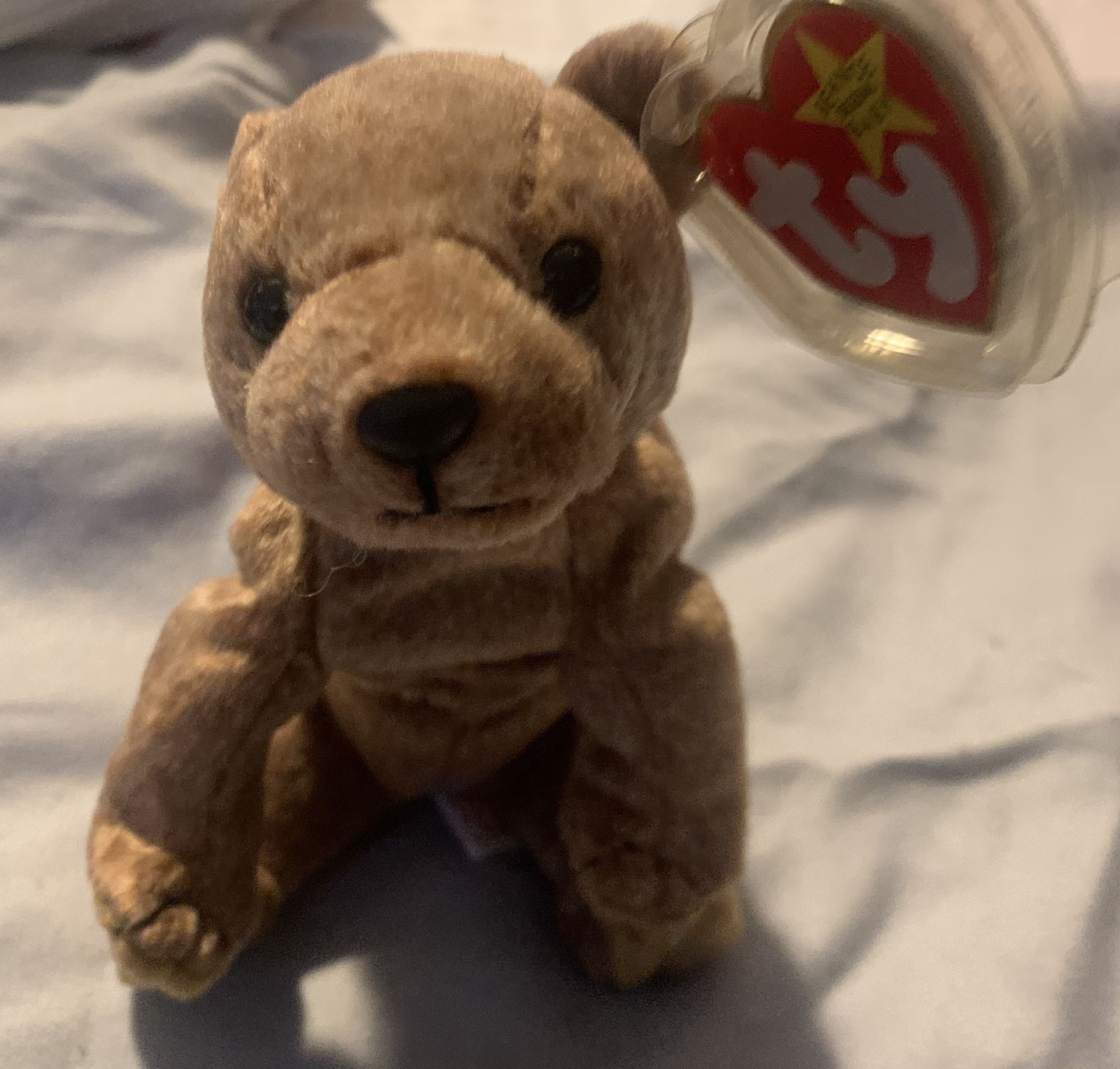 PECAN (THE GOLD BEAR) APRIL 15, 1999 (“RETIRED”) “RARE-VINTAGE” (1999)