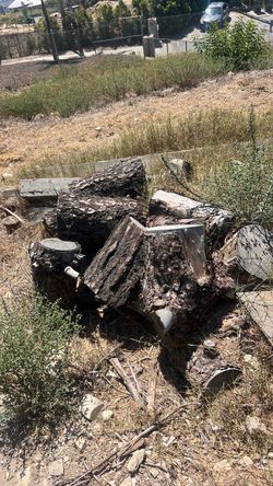 Free Firewood / Logs - You Haul