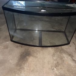 Aquariums 