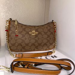 Brown Purse