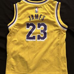 Kids Lakers Lebron Jersey Size 7