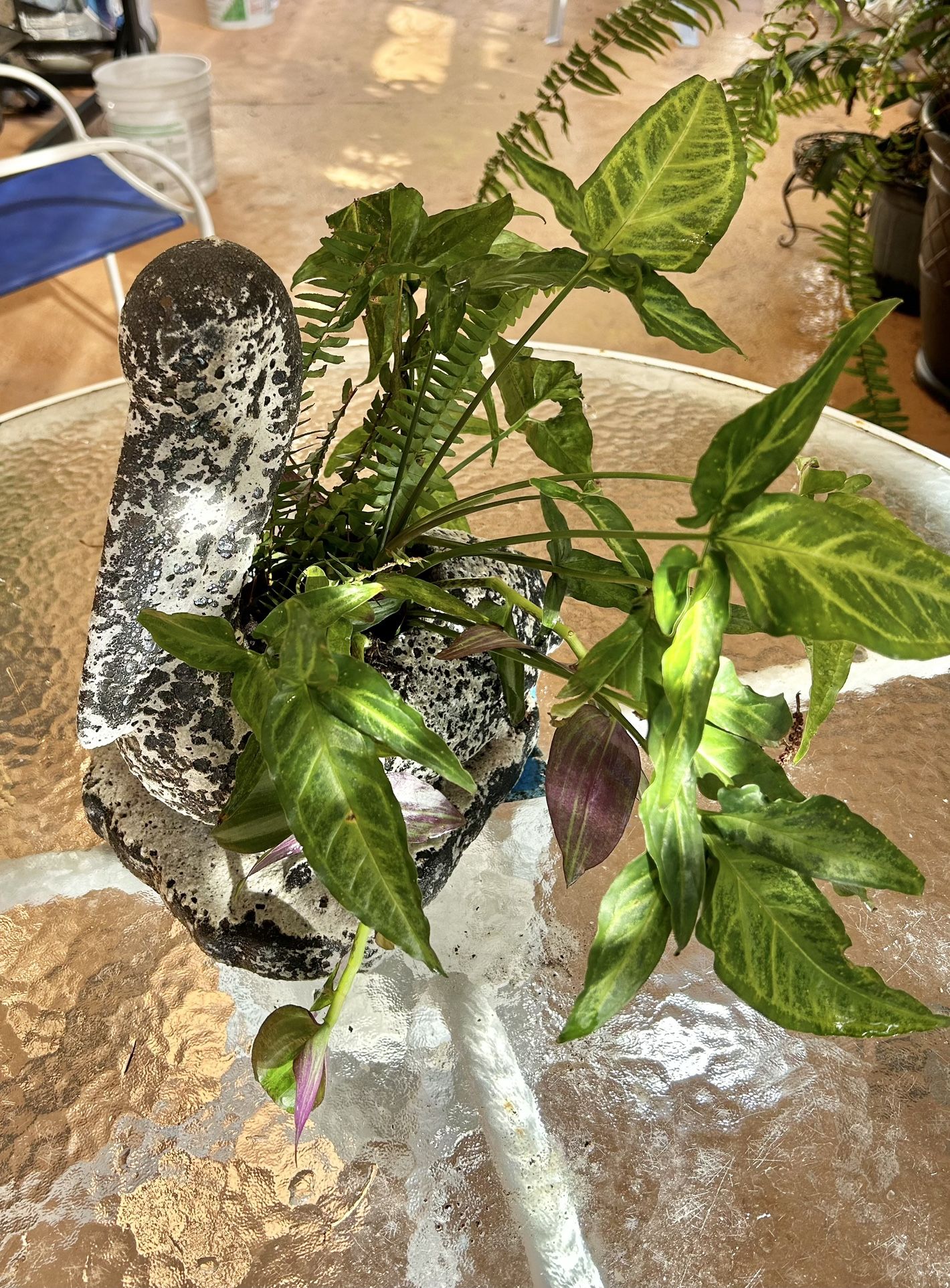 New ceramic decorative pieces in excellent conditions