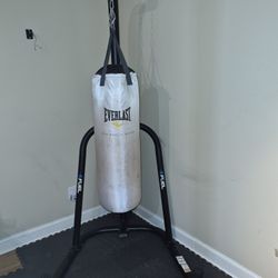Everlast Heavy Kickboxing Bag And Stand