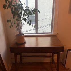World Market Mid Century Modern Desk
