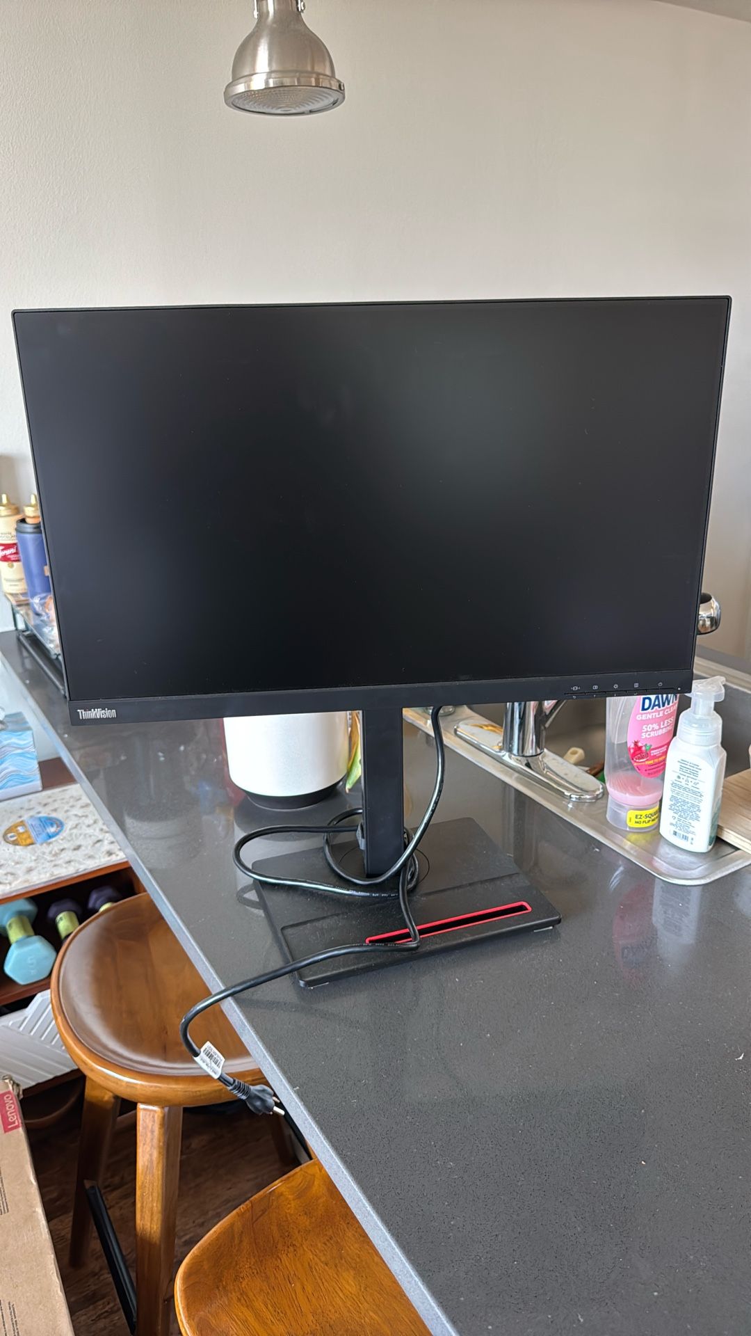 Thinkvision T24i-20 Flat Panel Monitor - Will Negotiate. Everything Must Go