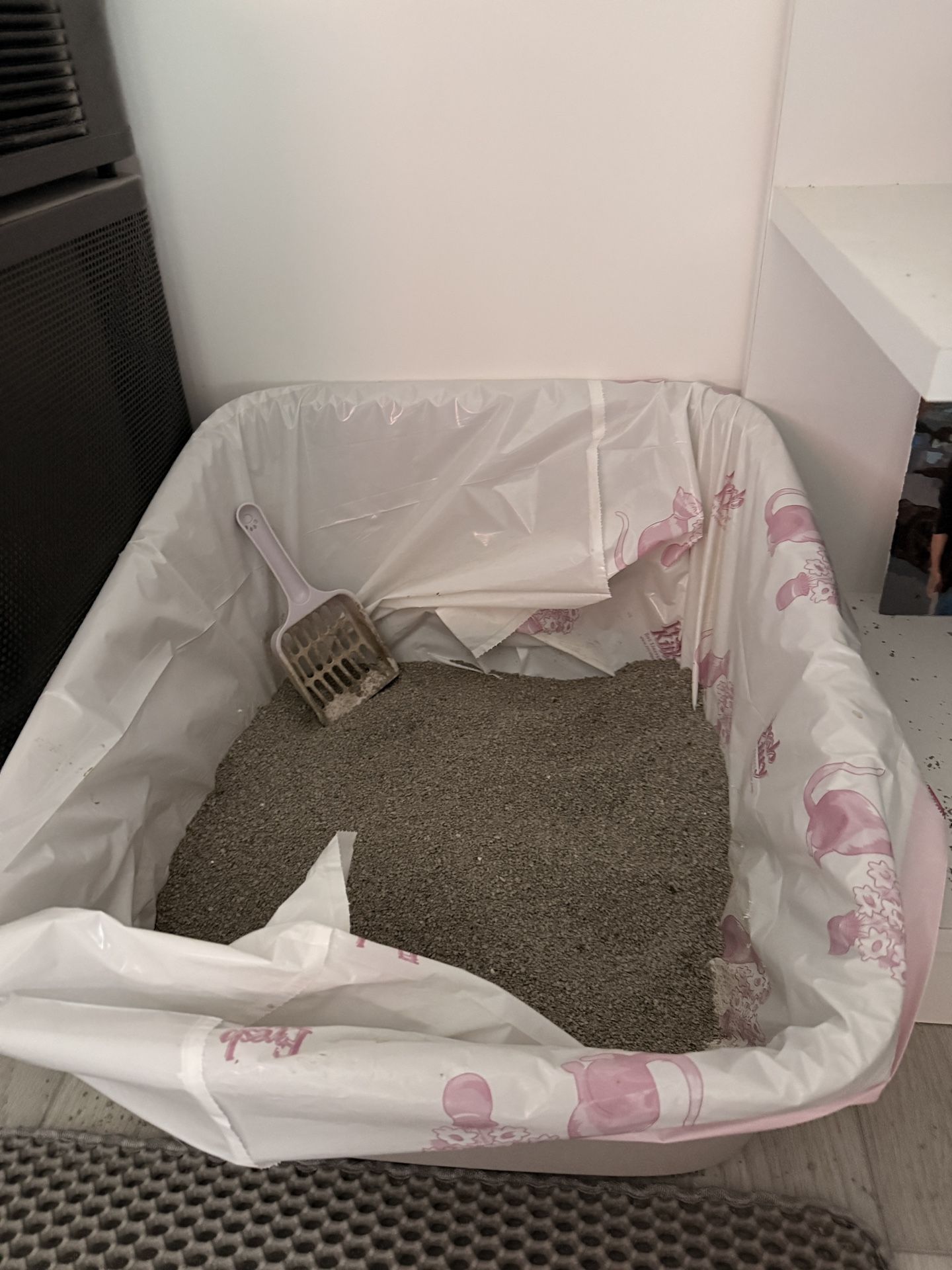 Large Cat Litter Box