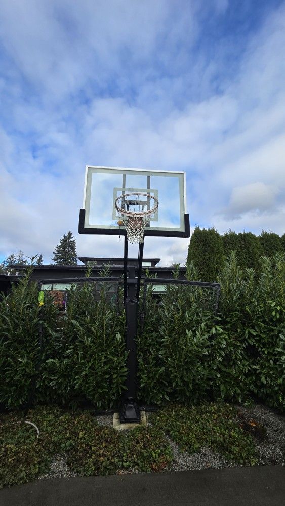 Produnk Thor Silver Basketball Hoop