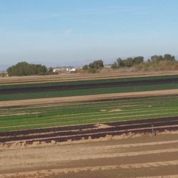 Terreno De Agricultura En Renta