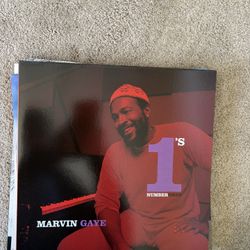 Marvin Gaye Record
