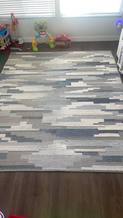 Area Rug 10’ x 8’