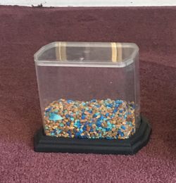 Small fish/frog tank