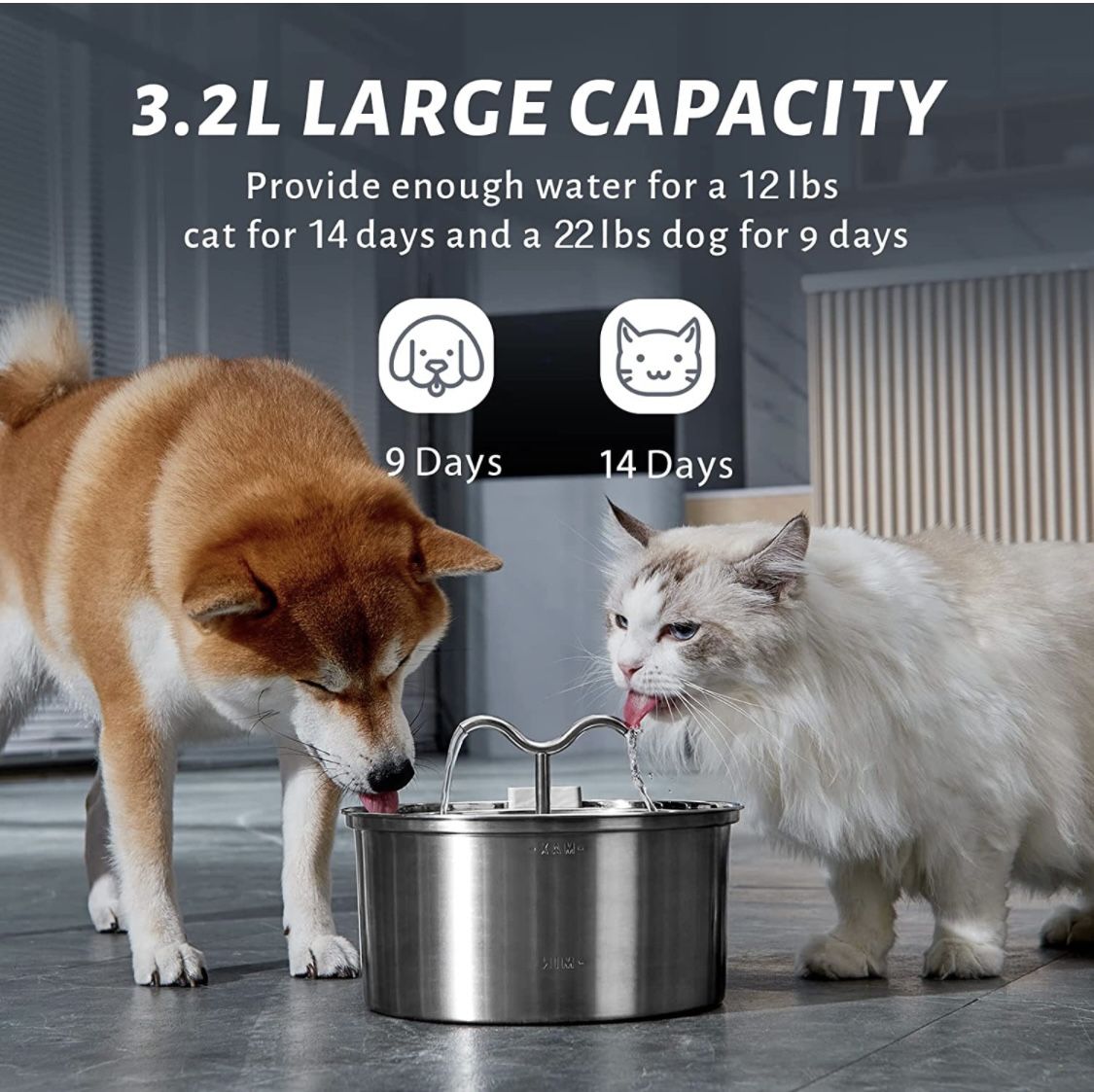DOOOB Cat Water Fountain (brand New )